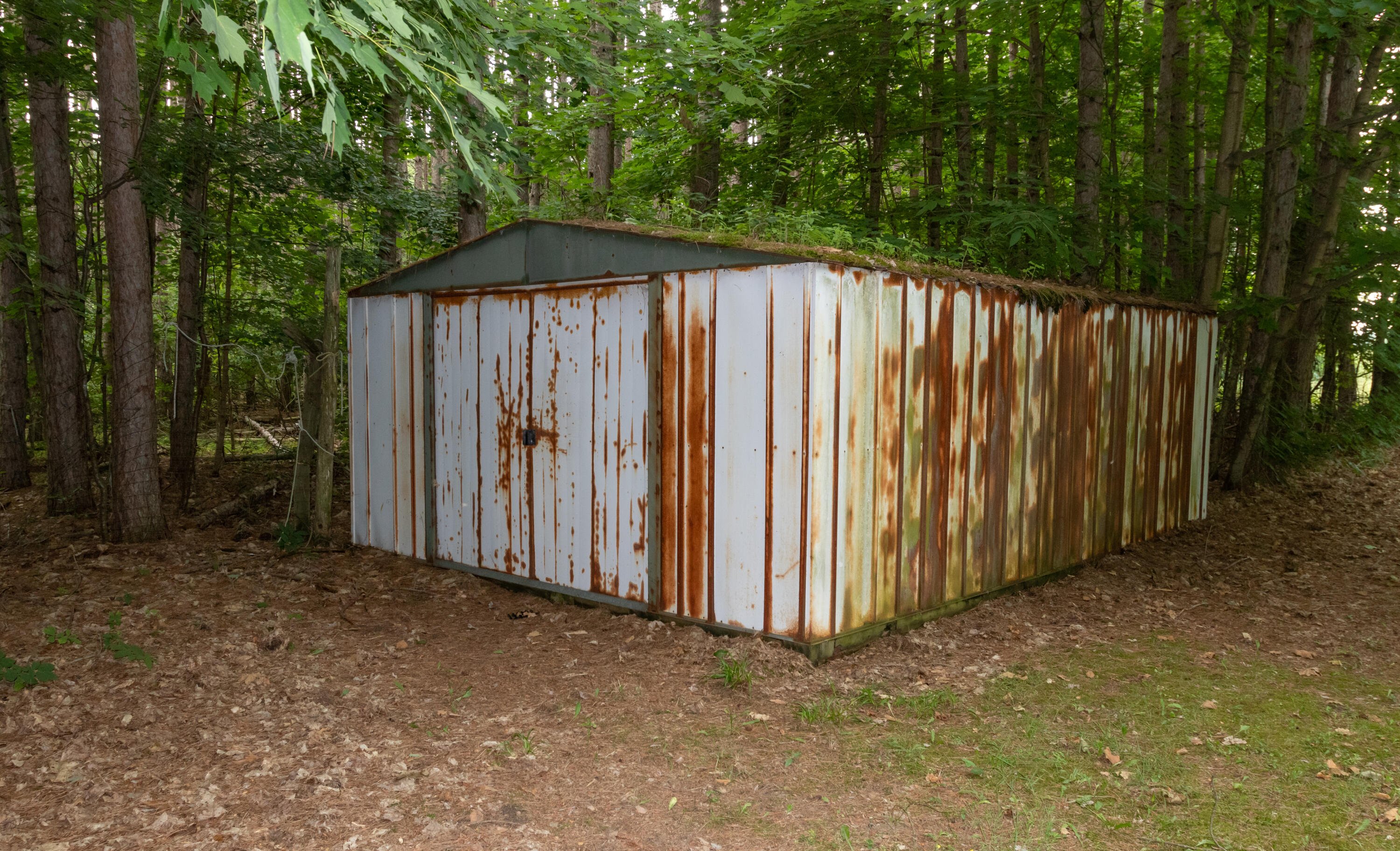 3434 East Wilson Road Custer, MI 49405 - Photo 55 of 63 IMG_9463