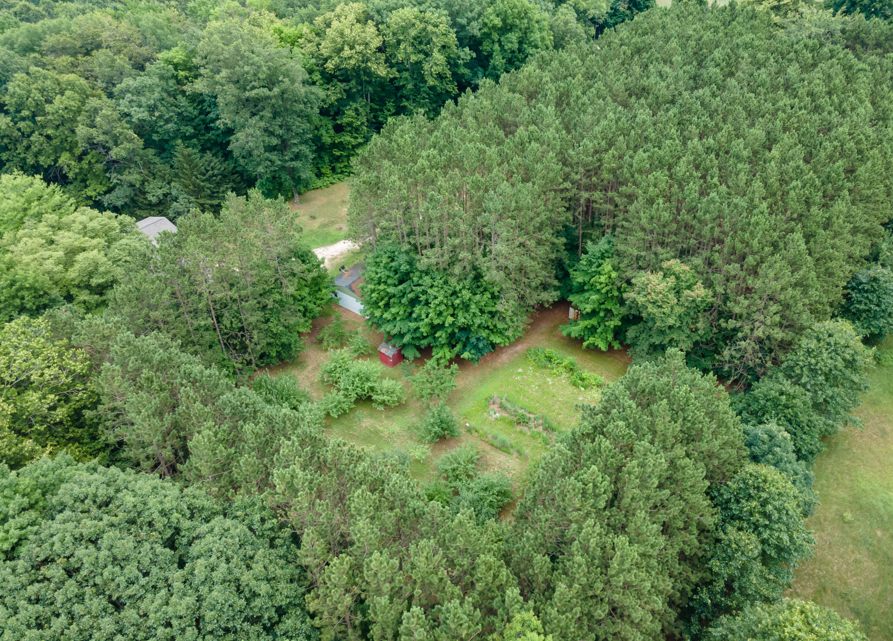 3434 East Wilson Road Custer, MI 49405 - Photo 7 of 63 DJI_0306