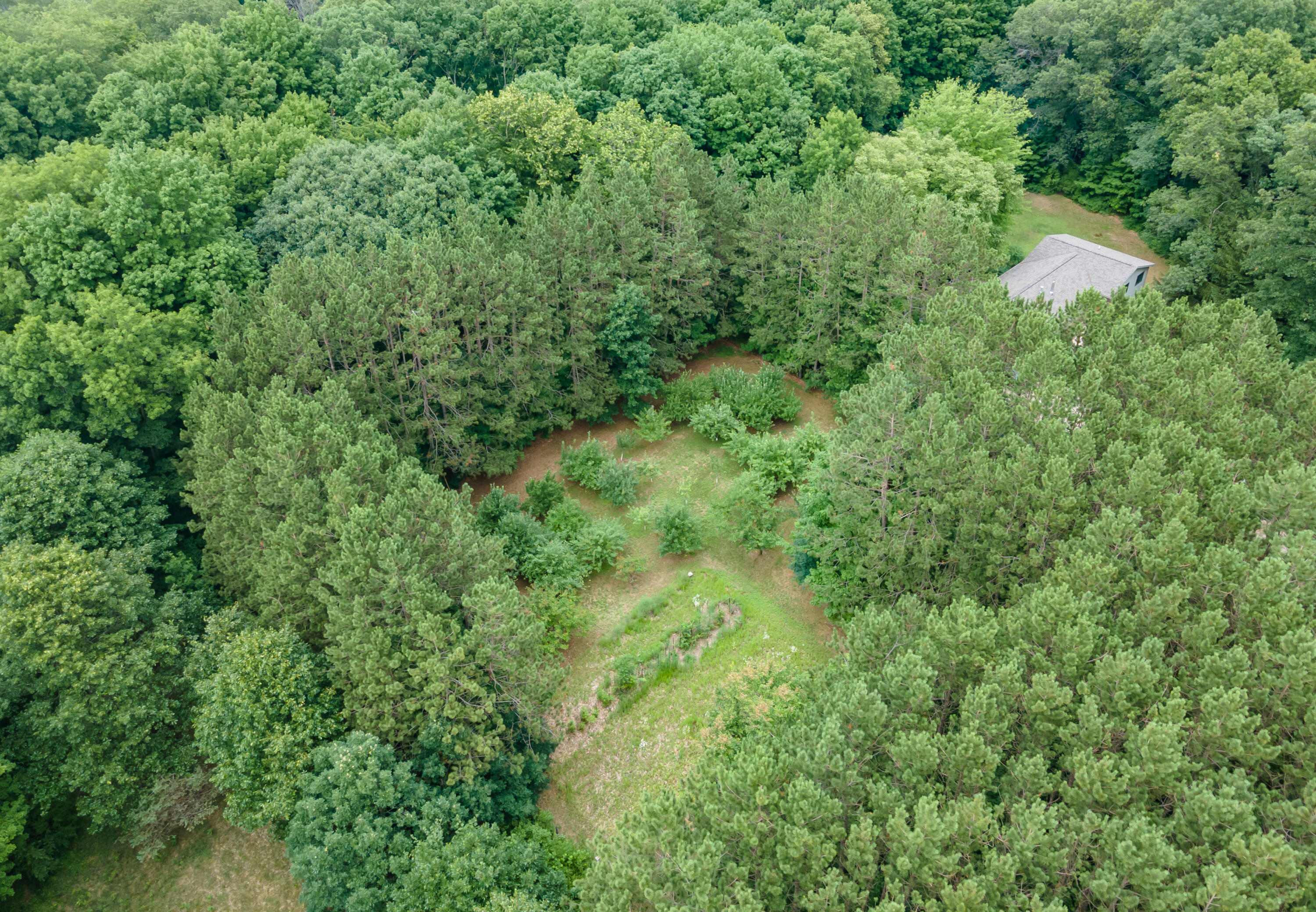 3434 East Wilson Road Custer, MI 49405 - Photo 8 of 63 DJI_0307