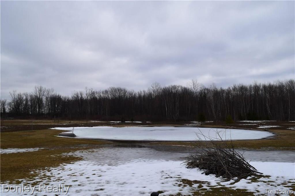 7419 Arendt Road Melvin, MI 48454 - Photo 18 of 21 Gallery Image 18