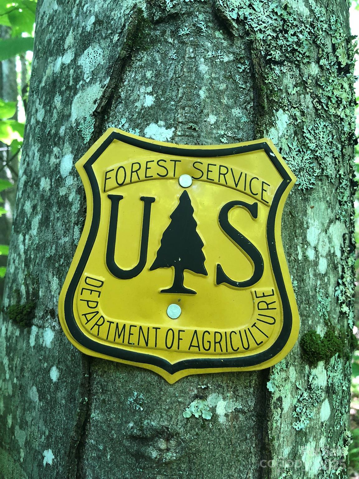 3076 Anderson Cove Road Hot Springs, NC 28743 - Photo 31 of 44 a sign that is on a sign board