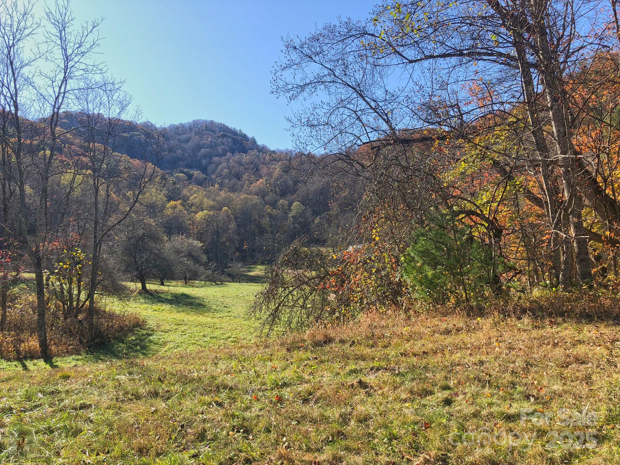 3076 Anderson Cove Road Hot Springs, NC 28743 - Photo 35 of 44 a view of a yard with wooden fence