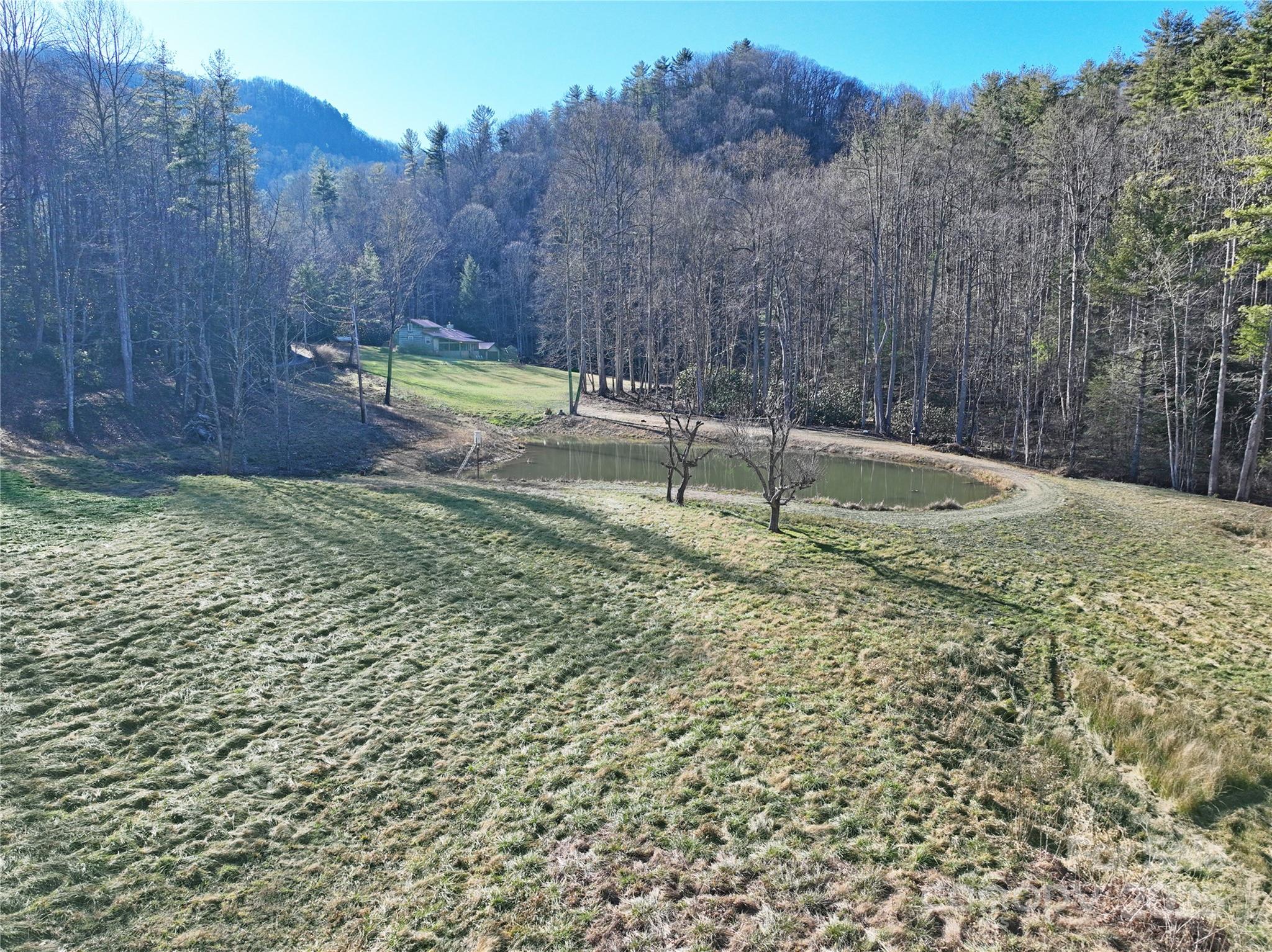 3076 Anderson Cove Road Hot Springs, NC 28743 - Photo 40 of 44 a view of a backyard with large trees