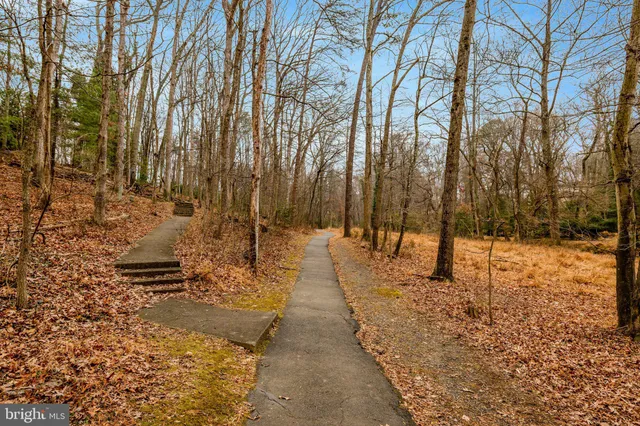 a view of a pathway with a yard