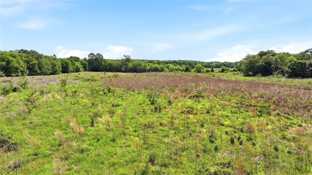 4091 County Road 2206 Rusk, TX 75785 - Photo 11 of 12 a view of lake with green space