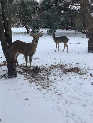 a view of outdoor space with seating area