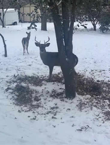 $265,000 | 185 East Street, Buffalo Gap, TX 79508