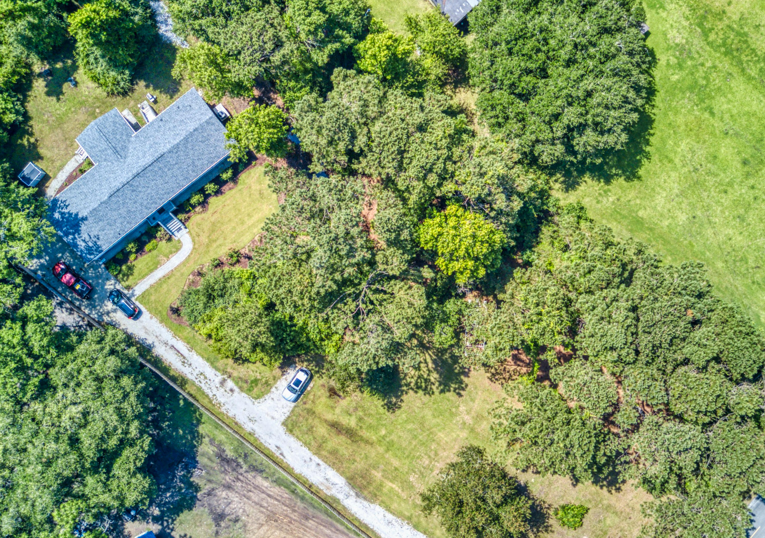 8025 Cedar Hall Road Edisto Island, SC 29438 - Photo 23 of 29 Front yard