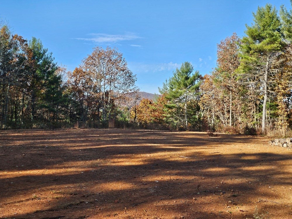 60-a-34 Ivanhoe Road, Unit 60A34 Ivanhoe, VA 24350 - Photo 4 of 15 Gallery Image 4