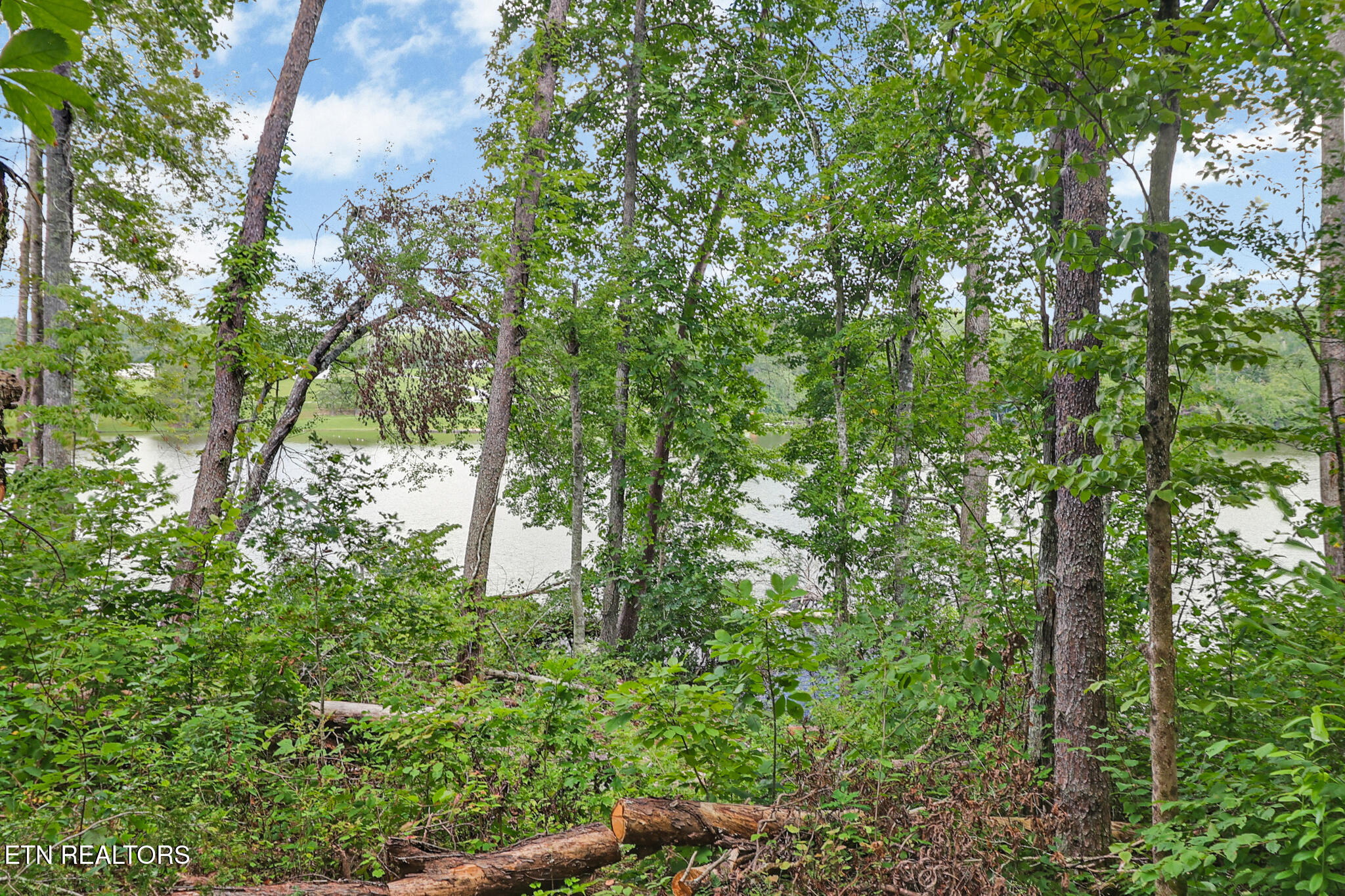 528 Siever Road Crossville, TN 38572 - Photo 24 of 25 lake view