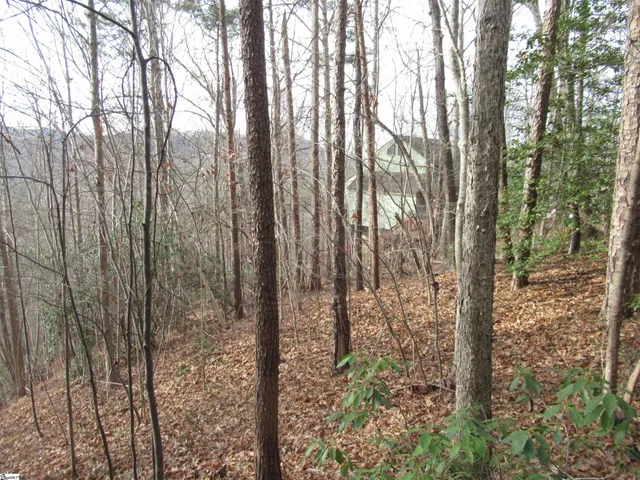 $15,000 | Lone Rock Court, Pickens, SC 29671
