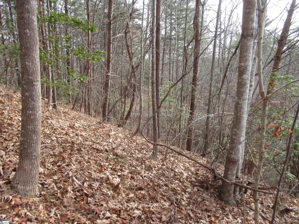 $15,000 | Lone Rock Court, Pickens, SC 29671