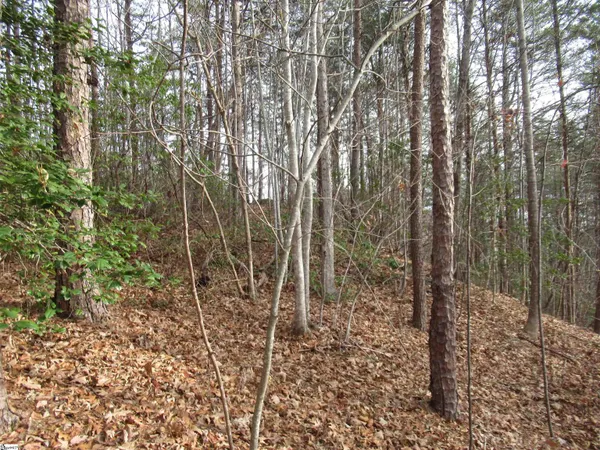 $15,000 | Lone Rock Court, Pickens, SC 29671