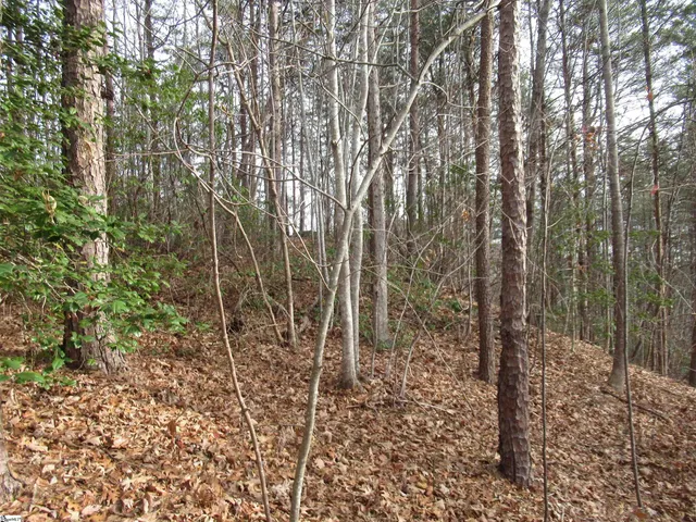 $15,000 | Lone Rock Court, Pickens, SC 29671