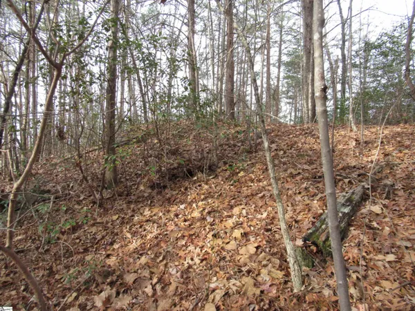 $15,000 | Lone Rock Court, Pickens, SC 29671