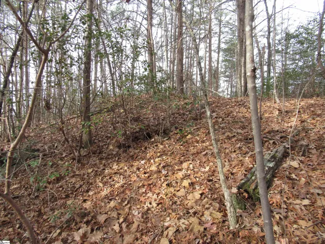 $15,000 | Lone Rock Court, Pickens, SC 29671