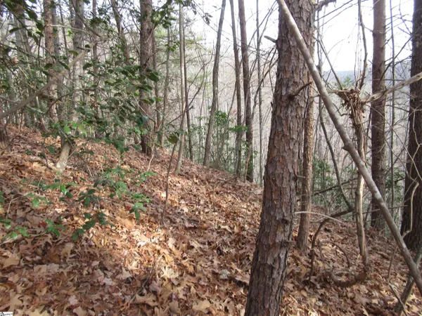 $15,000 | Lone Rock Court, Pickens, SC 29671