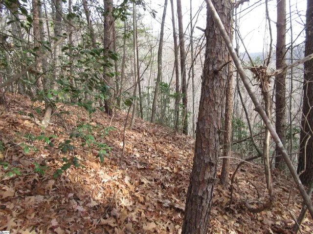 $15,000 | Lone Rock Court, Pickens, SC 29671