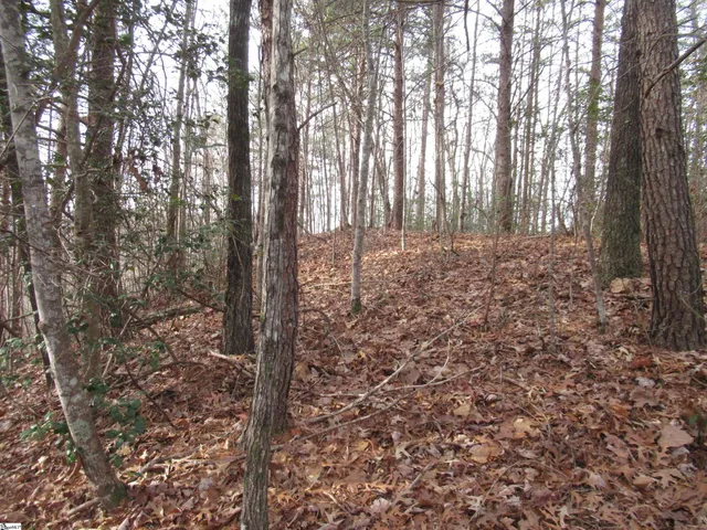 $15,000 | Lone Rock Court, Pickens, SC 29671