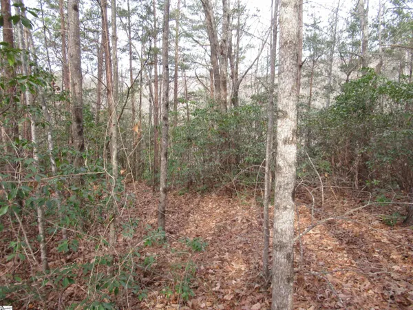 $15,000 | Lone Rock Court, Pickens, SC 29671