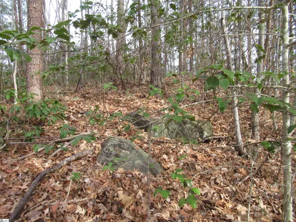 $15,000 | Lone Rock Court, Pickens, SC 29671