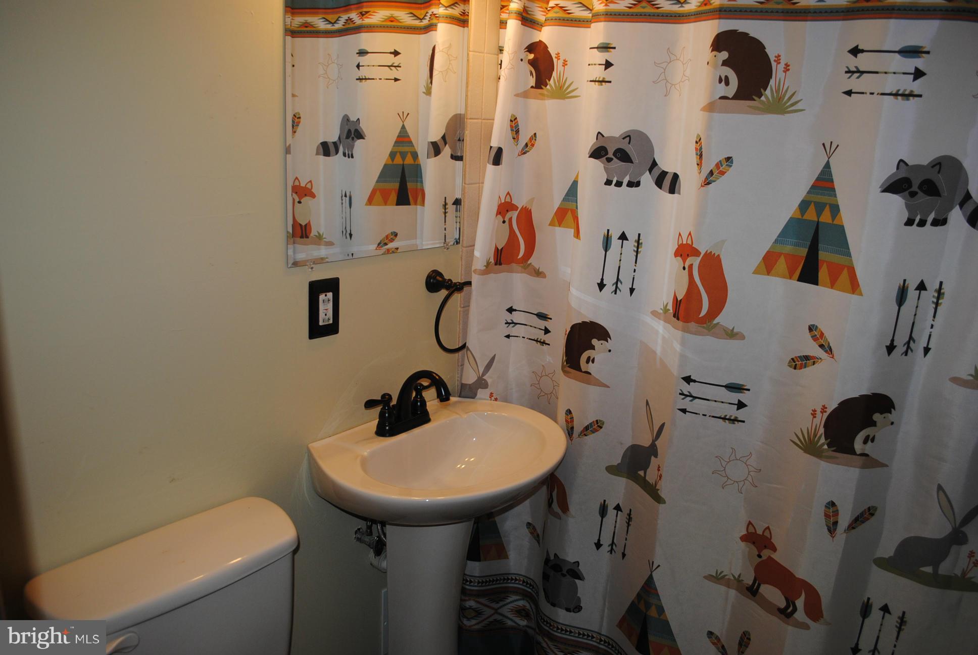 26 Messick Road Strasburg, VA 22657 - Photo 11 of 28 a bathroom with a sink mirror and toilet