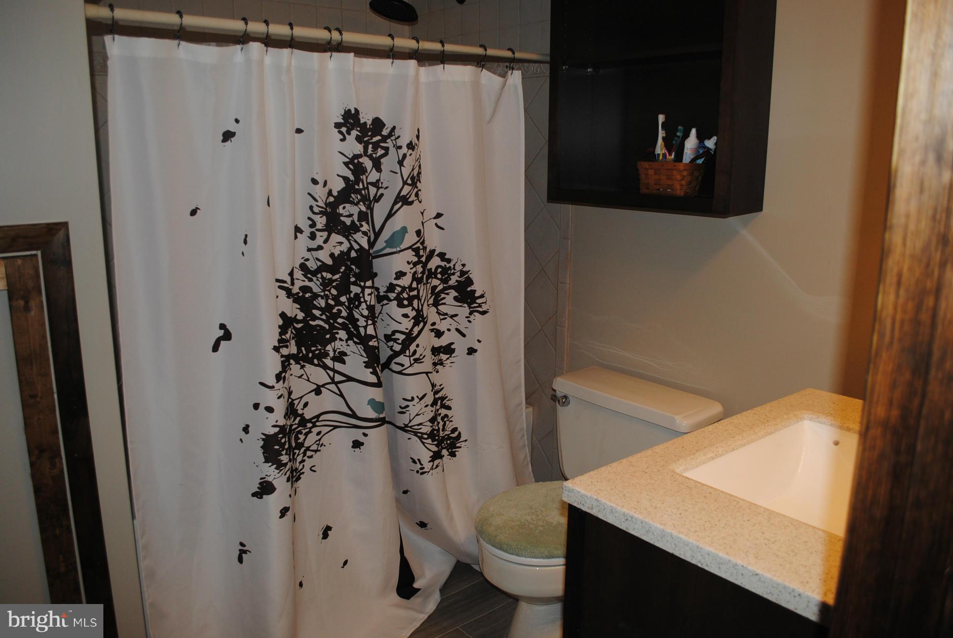 26 Messick Road Strasburg, VA 22657 - Photo 17 of 28 a bathroom with a shower curtain and a sink