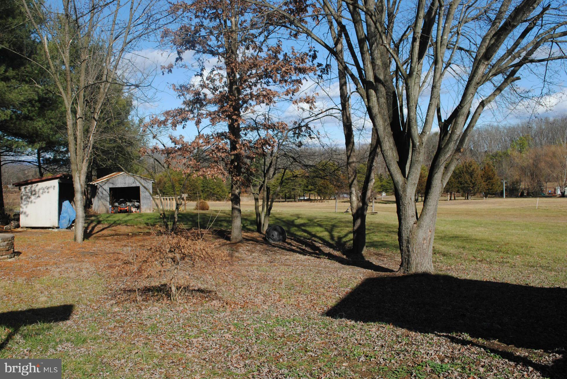 26 Messick Road Strasburg, VA 22657 - Photo 24 of 28 a view of a backyard with large trees