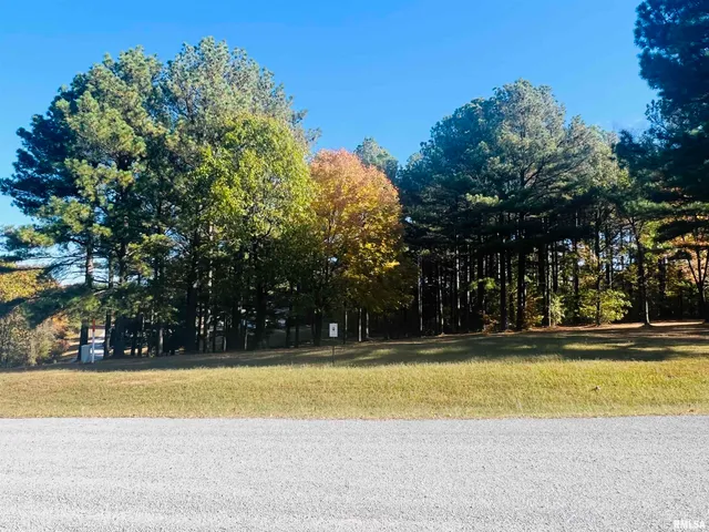 $38,000 | Lot 39-40 Luxor Landing Lane, Goreville, IL 62939