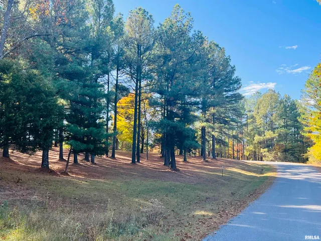 $38,000 | Lot 39-40 Luxor Landing Lane, Goreville, IL 62939