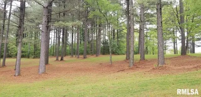 $38,000 | Lot 39-40 Luxor Landing Lane, Goreville, IL 62939