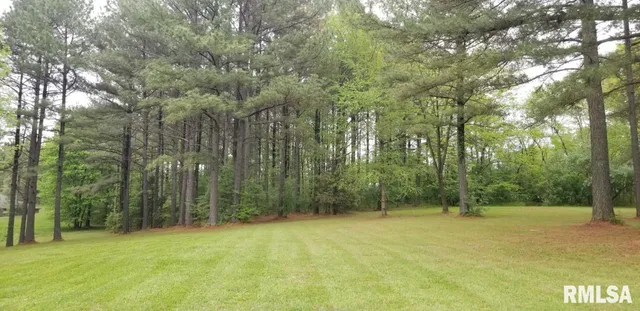 $38,000 | Lot 39-40 Luxor Landing Lane, Goreville, IL 62939