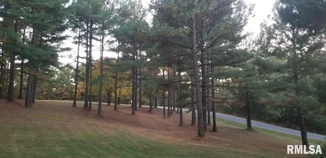 $38,000 | Lot 39-40 Luxor Landing Lane, Goreville, IL 62939