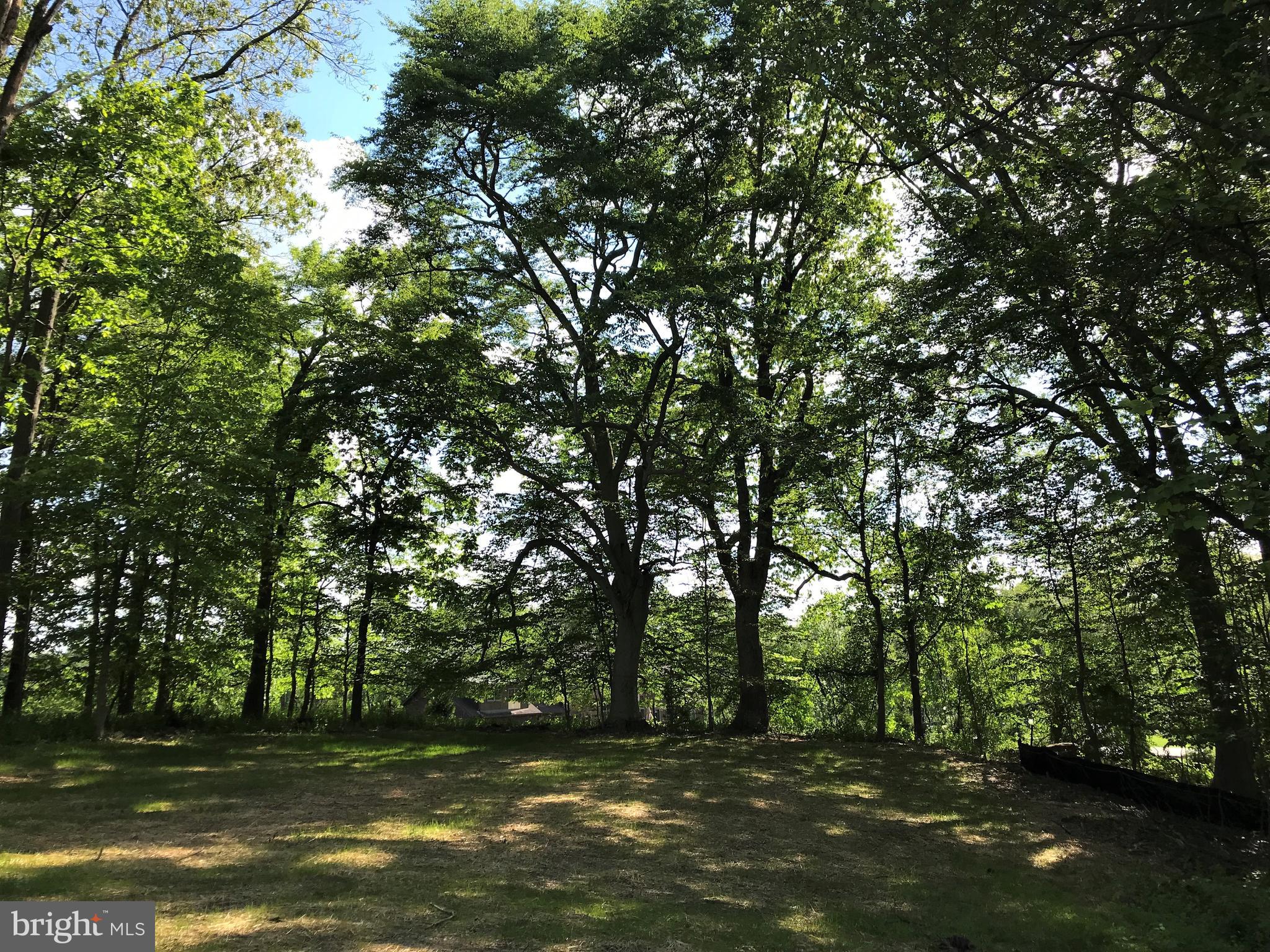 830 Shenton Road West Chester, PA 19380 - Photo 5 of 14 Back Yard
