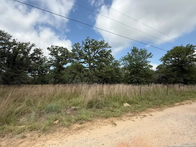 a view of a lake view with a tree