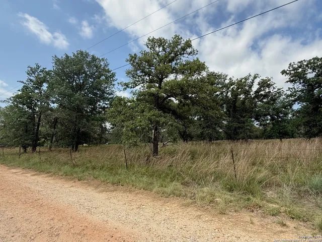 a view of a lake in middle of forest