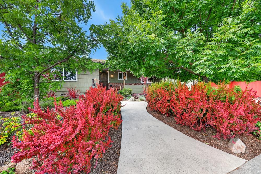 4831 Jan Drive Carmichael, CA 95608 - Photo 4 of 69