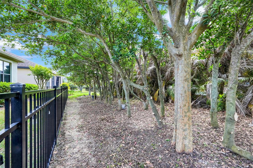 1038 Timbervale Trail Clermont, FL 34715 - Photo 41 of 54 a view of house with trees in front of it