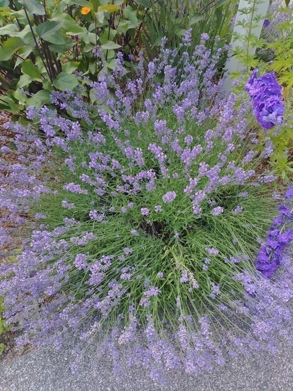 80 King Street Hanover, MA 02339 - Photo 35 of 39