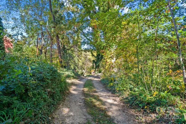 a view of a field with an trees