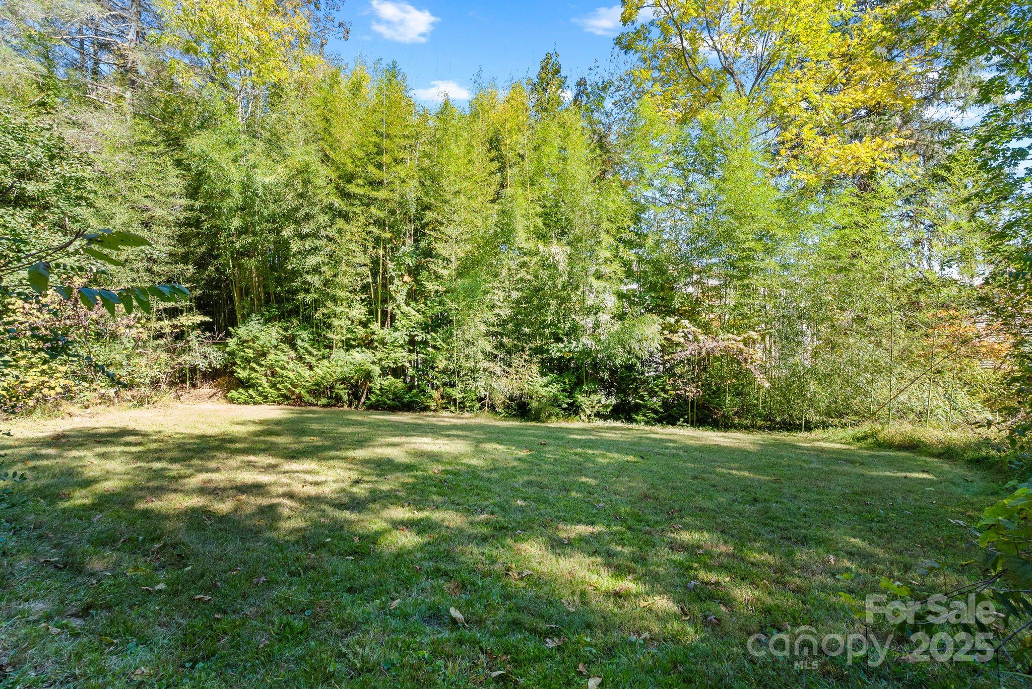 414 Beaucatcher Road Asheville, NC 28805 - Photo 30 of 34 a view of a field with an trees
