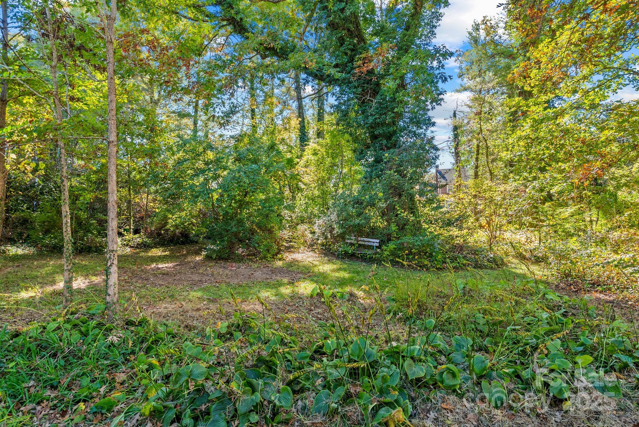 414 Beaucatcher Road Asheville, NC 28805 - Photo 31 of 34 a view of a yard with a tree