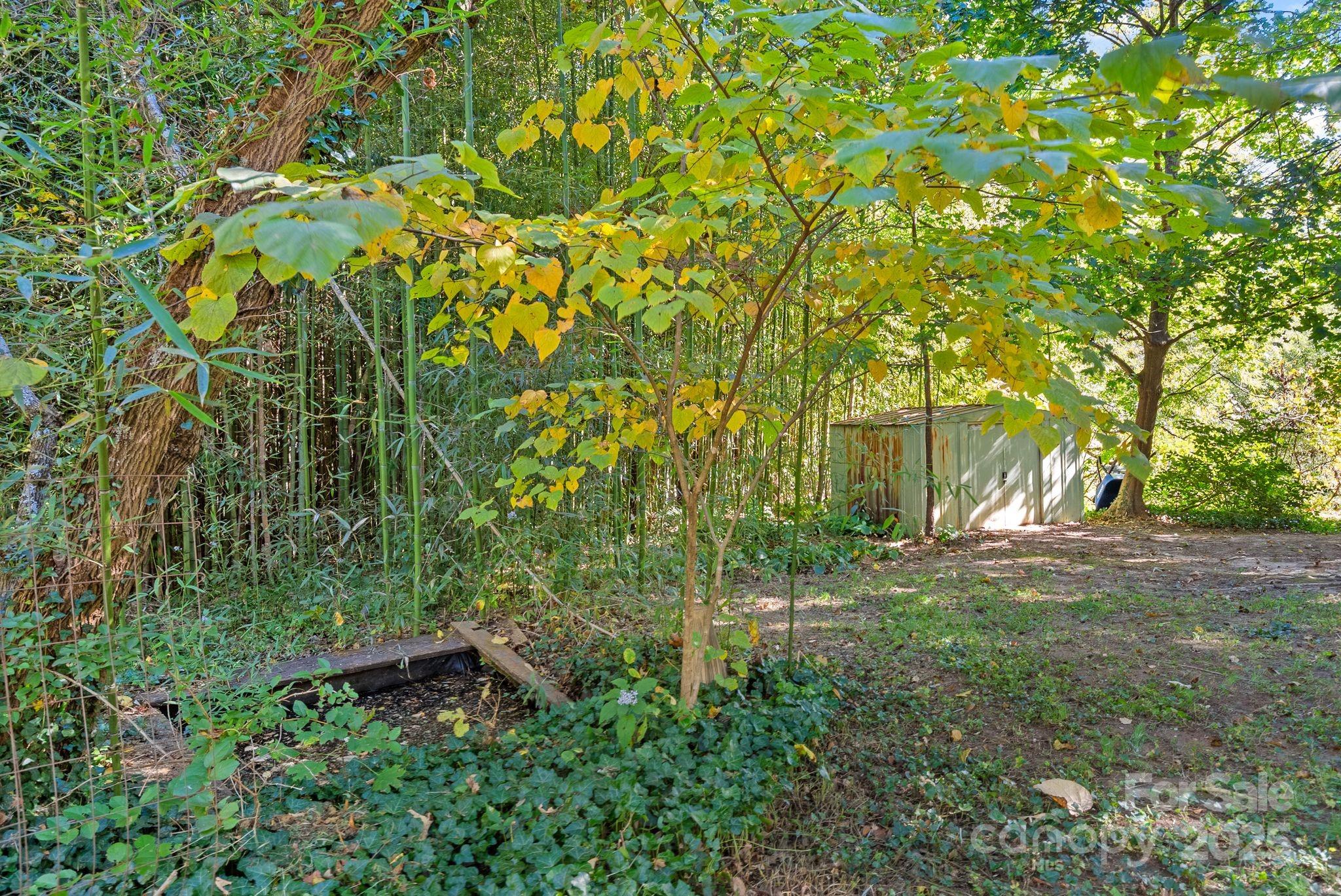 414 Beaucatcher Road Asheville, NC 28805 - Photo 33 of 34 a view of backyard with green space