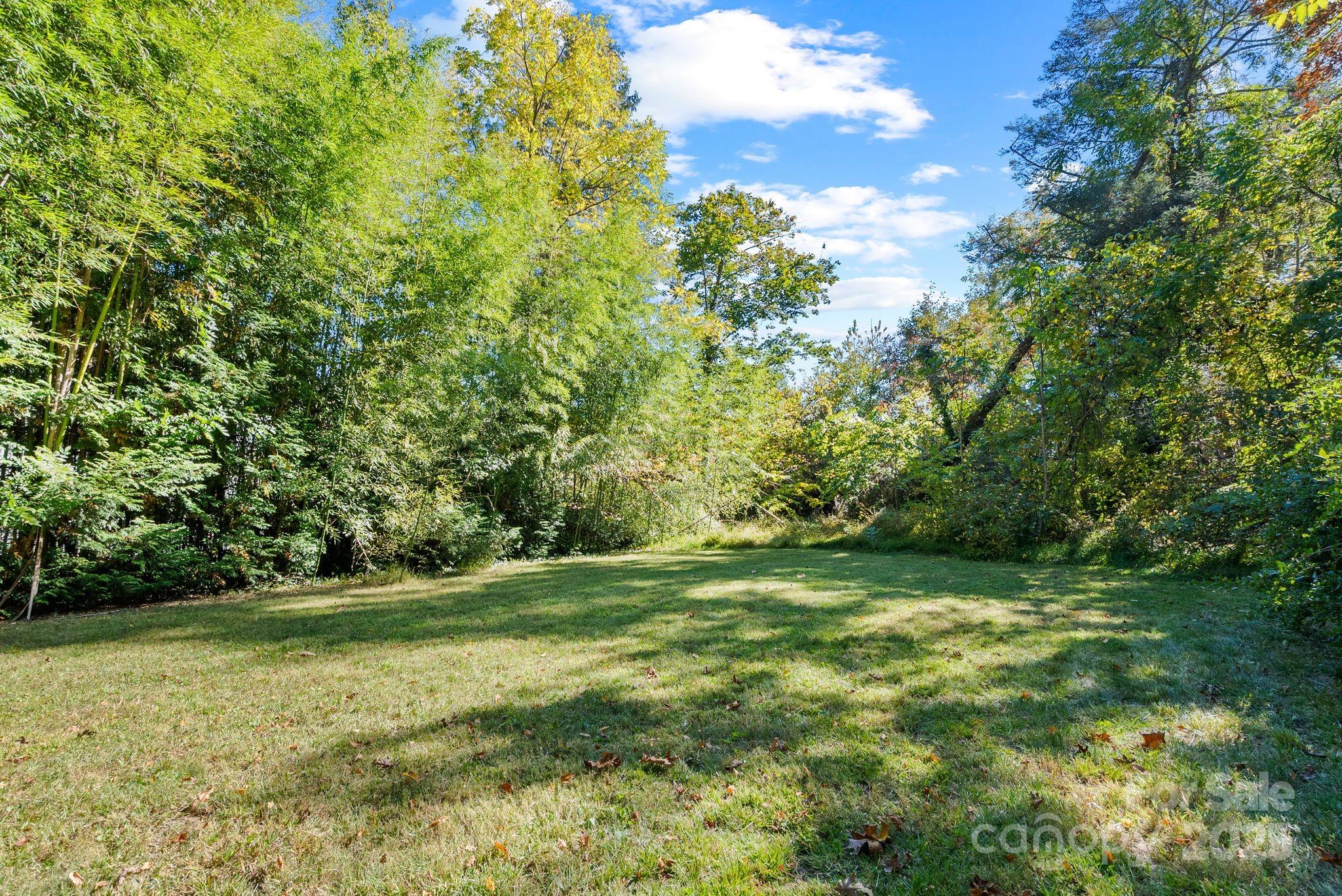 414 Beaucatcher Road Asheville, NC 28805 - Photo 34 of 34 a view of a trees with a yard