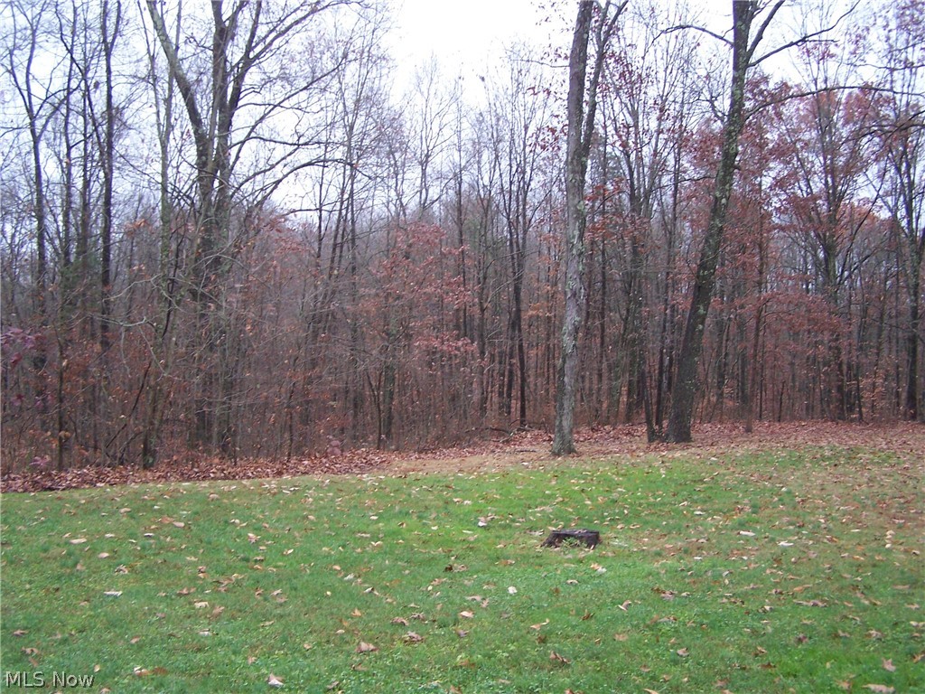 2619 Tick Ridge Road Vincent, OH 45784 - Photo 24 of 32 Gallery Image 24