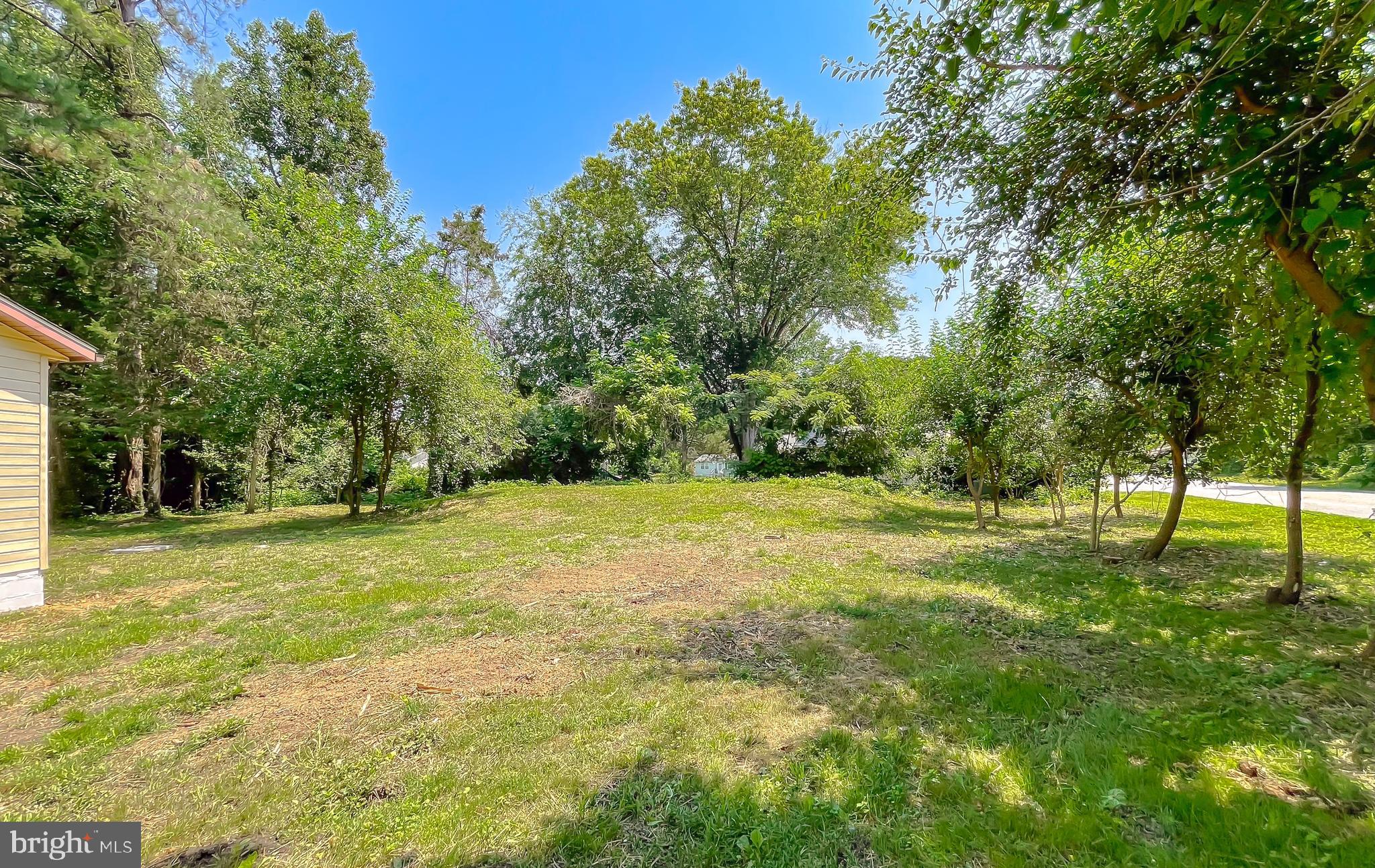 29810 Washington Road Mechanicsville, MD 20659 - Photo 11 of 44 a view of a trees in a yard