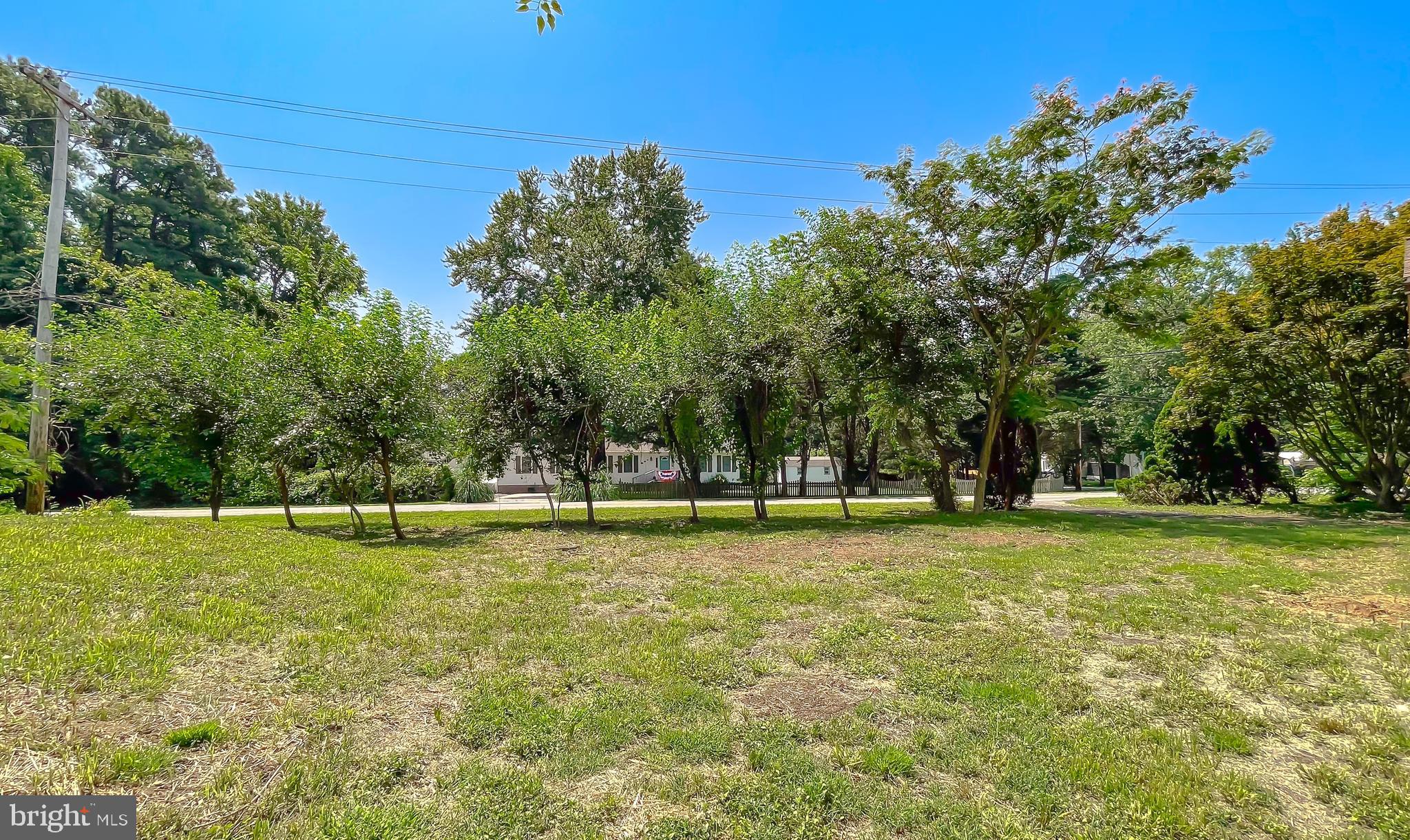 29810 Washington Road Mechanicsville, MD 20659 - Photo 9 of 44 a view of a trees in a park