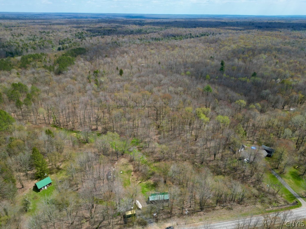 168 Carpenter Road Orwell, NY 13144 - Photo 41 of 43