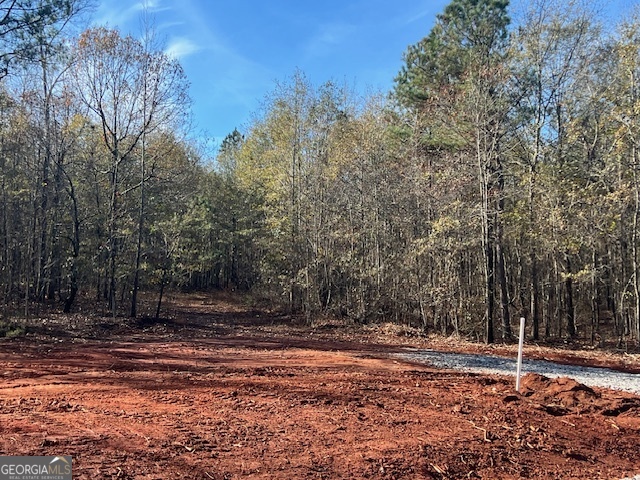 144 Berry Road Barnesville, GA 30204 - Photo 6 of 6 a view of a yard with trees
