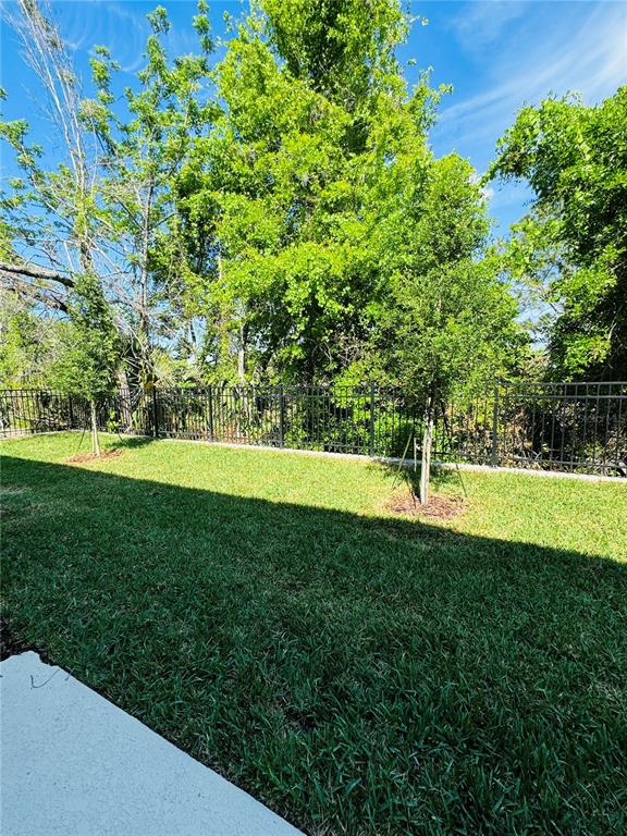 4906 Livingston Lane Oviedo, FL 32765 - Photo 12 of 25 a view of field with tall trees